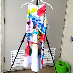 Ted Baker Skater dress